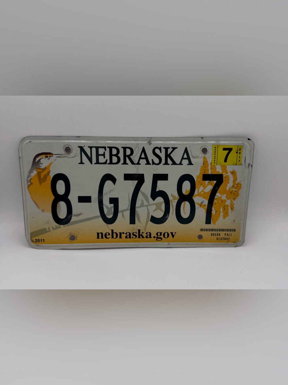 Nebraska Yellow & White License Plate Wall Decor
